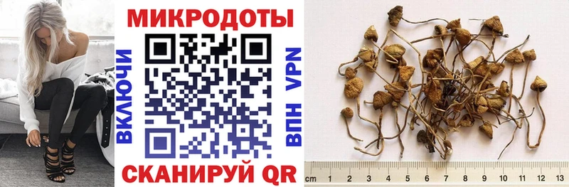 Псилоцибиновые грибы прущие грибы  Купить закладки  Мегион 